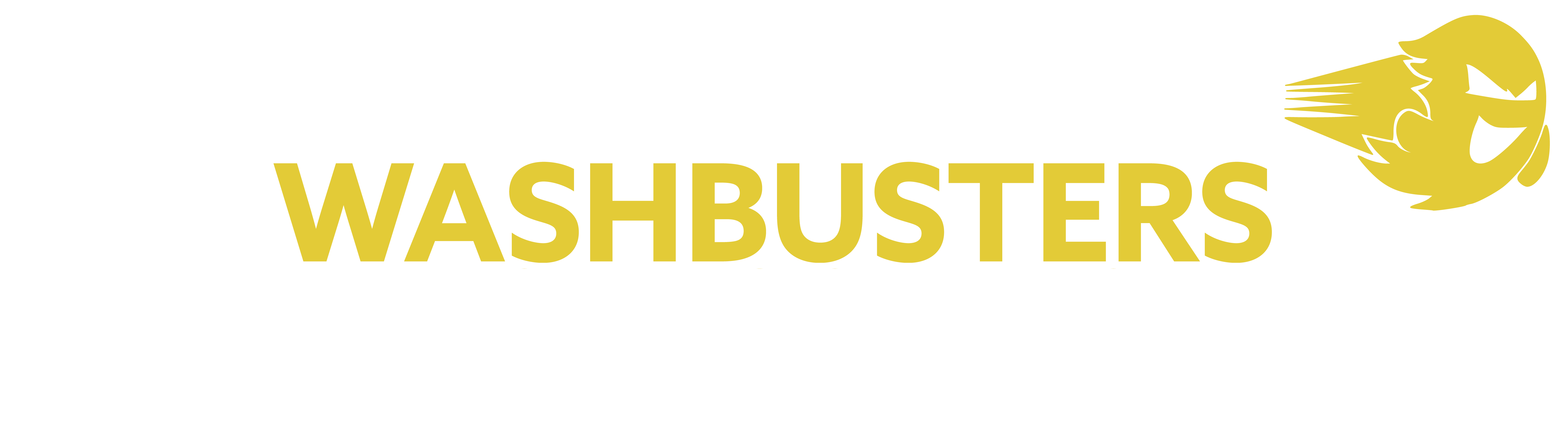 WASHBUSTERS